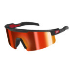 Schutzbrille mit großem Sichtfeld